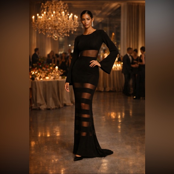 Anthropologie Dresses & Skirts - Ronny Kobo Anthropologie NWT RONNY KOBO LONG-SLEEVE SHEER SLIM MAXI DRESS size M